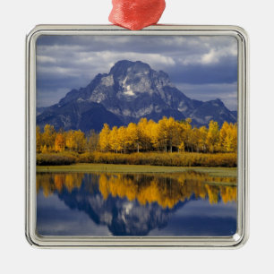 USA, Wyoming, Grand Teton NP. Against the Metal Tree Decoration