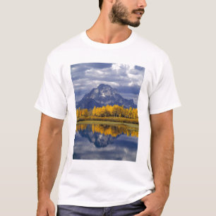 USA, Wyoming, Grand Teton NP. Against the T-Shirt