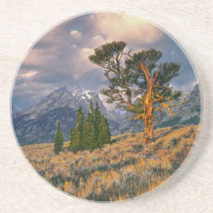 USA, Wyoming, Grand Teton NP. Sunrise greets a Coaster