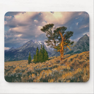 USA, Wyoming, Grand Teton NP. Sunrise greets a Mouse Mat