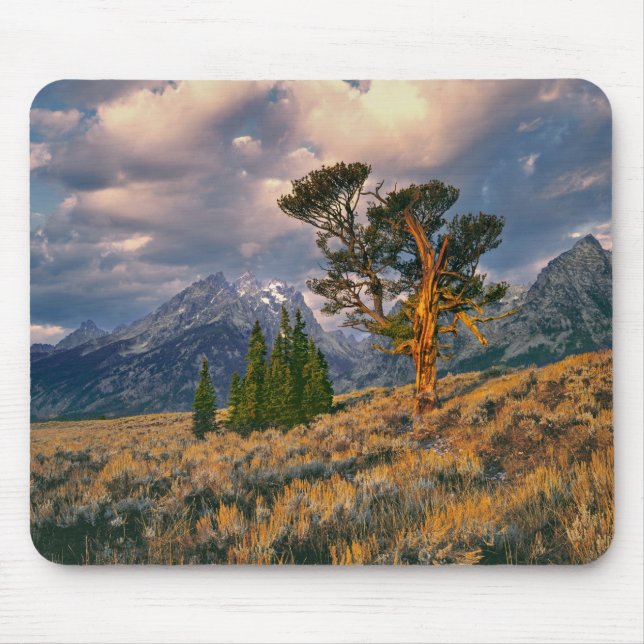 USA, Wyoming, Grand Teton NP. Sunrise greets a Mouse Mat (Front)