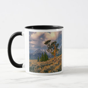 USA, Wyoming, Grand Teton NP. Sunrise greets a Mug