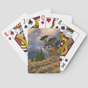 USA, Wyoming, Grand Teton NP. Sunrise greets a Playing Cards