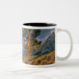 USA, Wyoming, Grand Teton NP. Sunrise greets a Two-Tone Coffee Mug