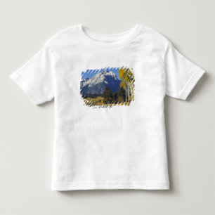 USA, Wyoming, Grand Teton NP. Teton Parkway Toddler T-Shirt