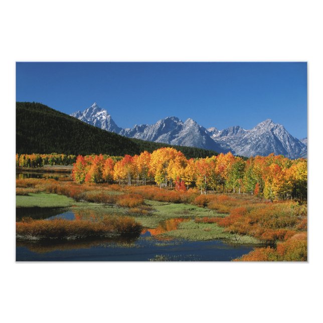 USA, Wyoming, Grand Tetons National Park in Photo Print (Front)