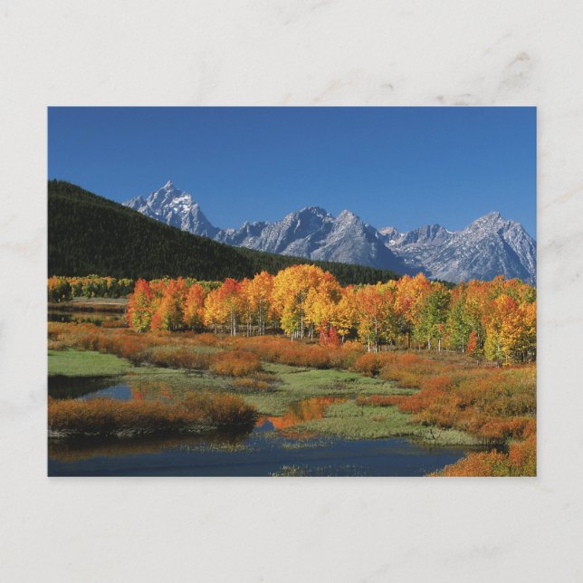 USA, Wyoming, Grand Tetons National Park in Postcard (Front)