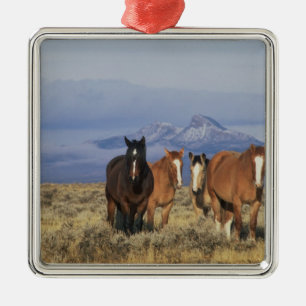 USA, Wyoming, near Cody Group of horses Metal Tree Decoration