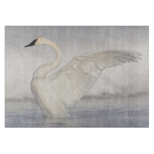USA, Wyoming, Trumpeter Swan stretches wings Cutting Board