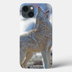 USA, Wyoming, Yellowstone National Park, Coyote iPhone 13 Case