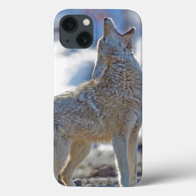 USA, Wyoming, Yellowstone National Park, Coyote Case-Mate iPhone Case (Back)