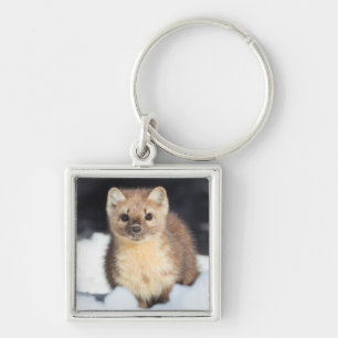 USA, Wyoming, Yellowstone National Park Key Ring