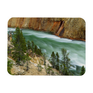 USA, Wyoming, Yellowstone National Park Magnet