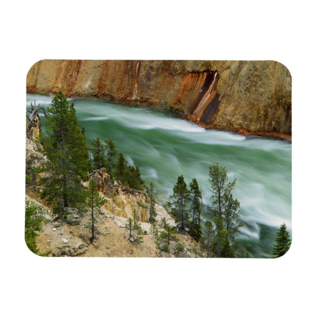 USA, Wyoming, Yellowstone National Park Magnet (Horizontal)