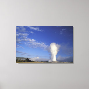 USA, Wyoming. Yellowstone National Park. Old Canvas Print