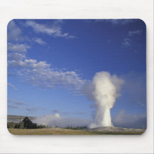 USA, Wyoming. Yellowstone National Park. Old Mouse Mat