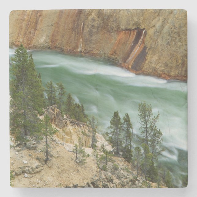 USA, Wyoming, Yellowstone National Park Stone Coaster (Front)