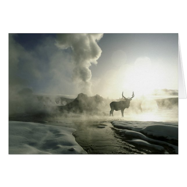 USA, Wyoming, Yellowstone National Park. Sunrise (Front Horizontal)