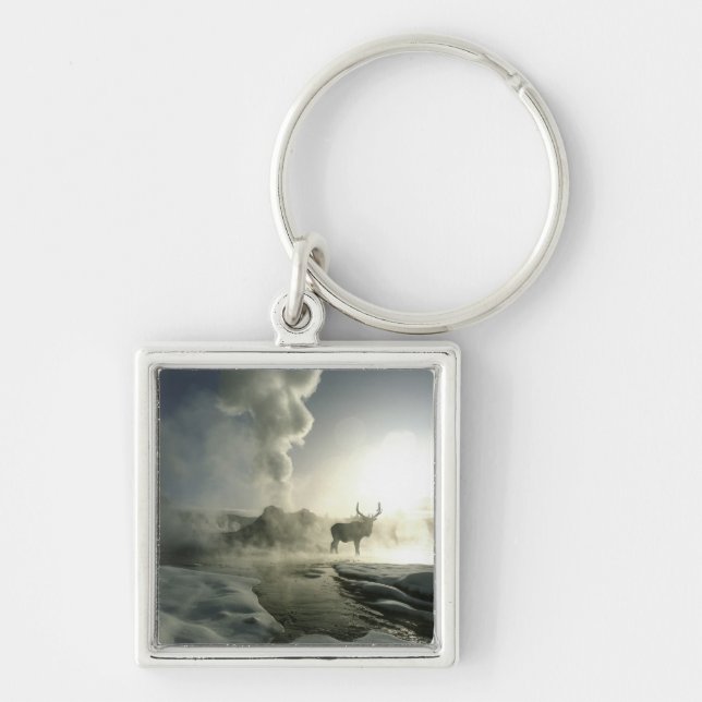 USA, Wyoming, Yellowstone National Park. Sunrise Key Ring (Front)