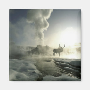 USA, Wyoming, Yellowstone National Park. Sunrise Magnet