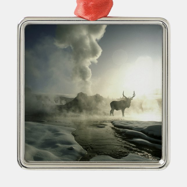 USA, Wyoming, Yellowstone National Park. Sunrise Metal Tree Decoration (Front)