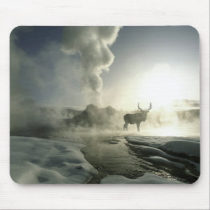 USA, Wyoming, Yellowstone National Park. Sunrise Mouse Mat