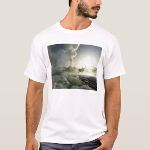 USA, Wyoming, Yellowstone National Park. Sunrise T-Shirt