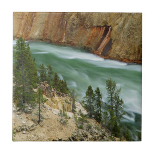 USA, Wyoming, Yellowstone National Park Tile