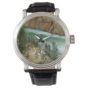 USA, Wyoming, Yellowstone National Park Watch