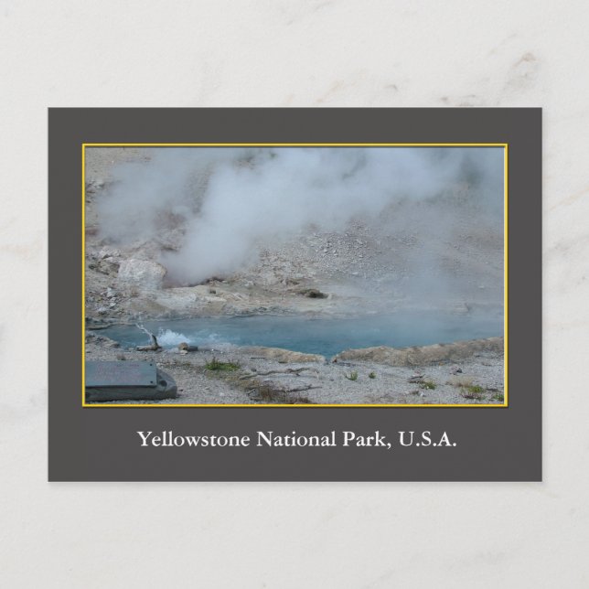USA Yellowstone National Park Postcard (Front)
