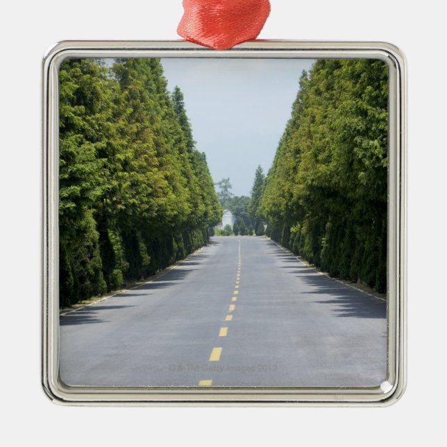 USA, Yellowstone National Park, Treelined road Metal Tree Decoration (Front)