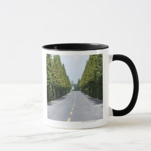 USA, Yellowstone National Park, Treelined road Mug