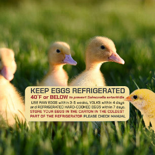 USDA Egg Carton Safety and Storage Regulations