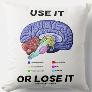 Use It Or Lose It Anatomical Brain Advice Humour Cushion