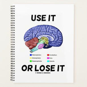 Use It Or Lose It Anatomical Brain Advice Humour Planner