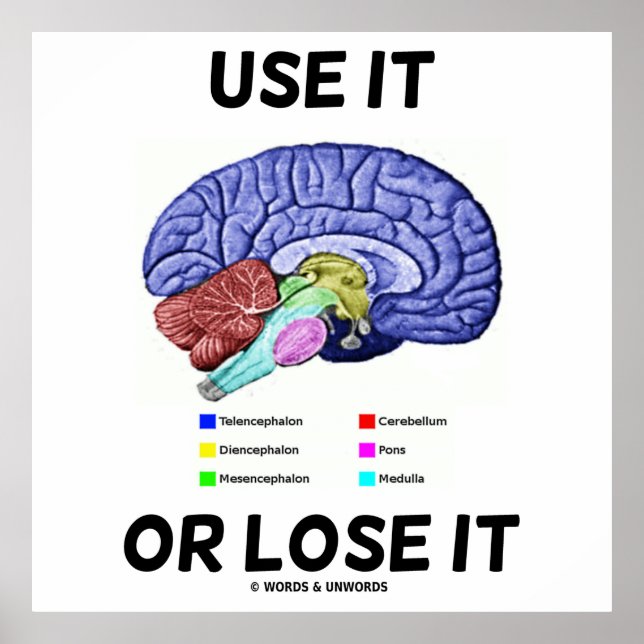 Use It Or Lose It (Anatomical Brain Advice) Poster (Front)