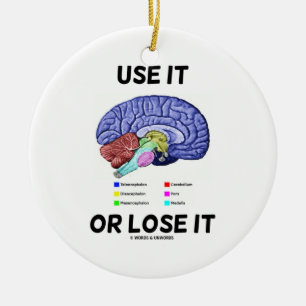 Use It Or Lose It (Brain Anatomy Humour) Ceramic Tree Decoration