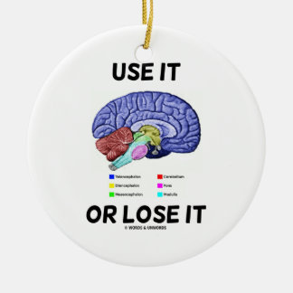 Use It Or Lose It (Brain Anatomy Humour) Ceramic Tree Decoration