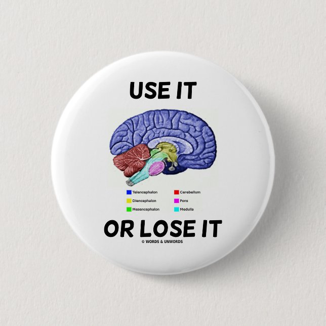 Use It Or Lose It (Brain Anatomy Humour Saying) 6 Cm Round Badge (Front)