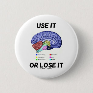 Use It Or Lose It (Brain Anatomy Humour Saying) 6 Cm Round Badge