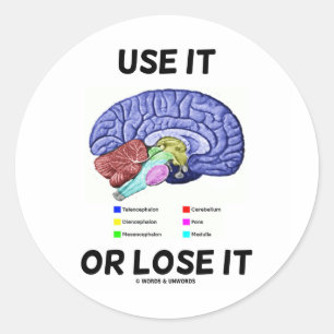 Use It Or Lose It (Brain Anatomy Humour Saying) Classic Round Sticker