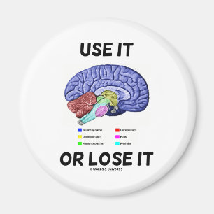 Use It Or Lose It (Brain Anatomy Humour Saying) Magnet