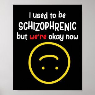 Used To Be Schizophrenic But We're Okay Now Schizo Poster