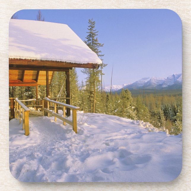 USFS Schnauss Cabin rental in Winter ovelooking Coaster (Front)