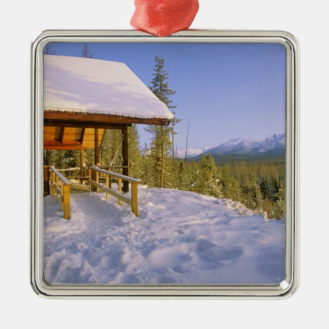 USFS Schnauss Cabin rental in Winter ovelooking Metal Tree Decoration (Front)