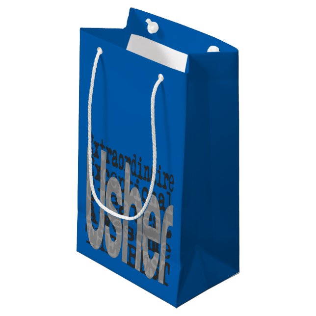 Usher Extraordinaire Small Gift Bag (Front Angled)