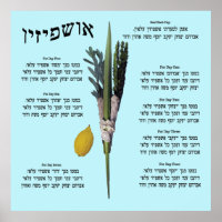 Ushpizin & Arba Minim (4 Species)