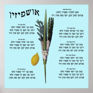 Ushpizin & Arba Minim (4 Species) Poster