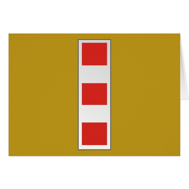 USMC  CWO4  Chief Warrant Officer 4  W-4 (Front Horizontal)