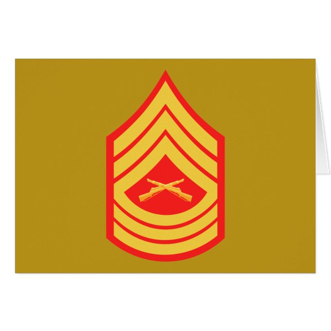 USMC MSgt Master Sergeant E-8 (Front Horizontal)